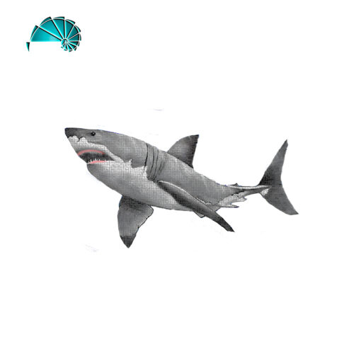 Figura . Tiburón Blanco