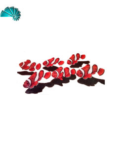 Figura - Cardumen de Peces Payaso