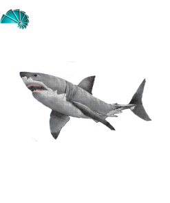 Figura . Tiburón Blanco