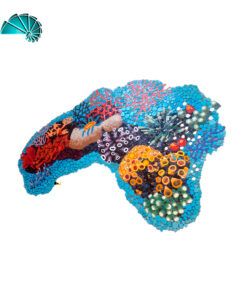 Figura - Arrecife De Coral