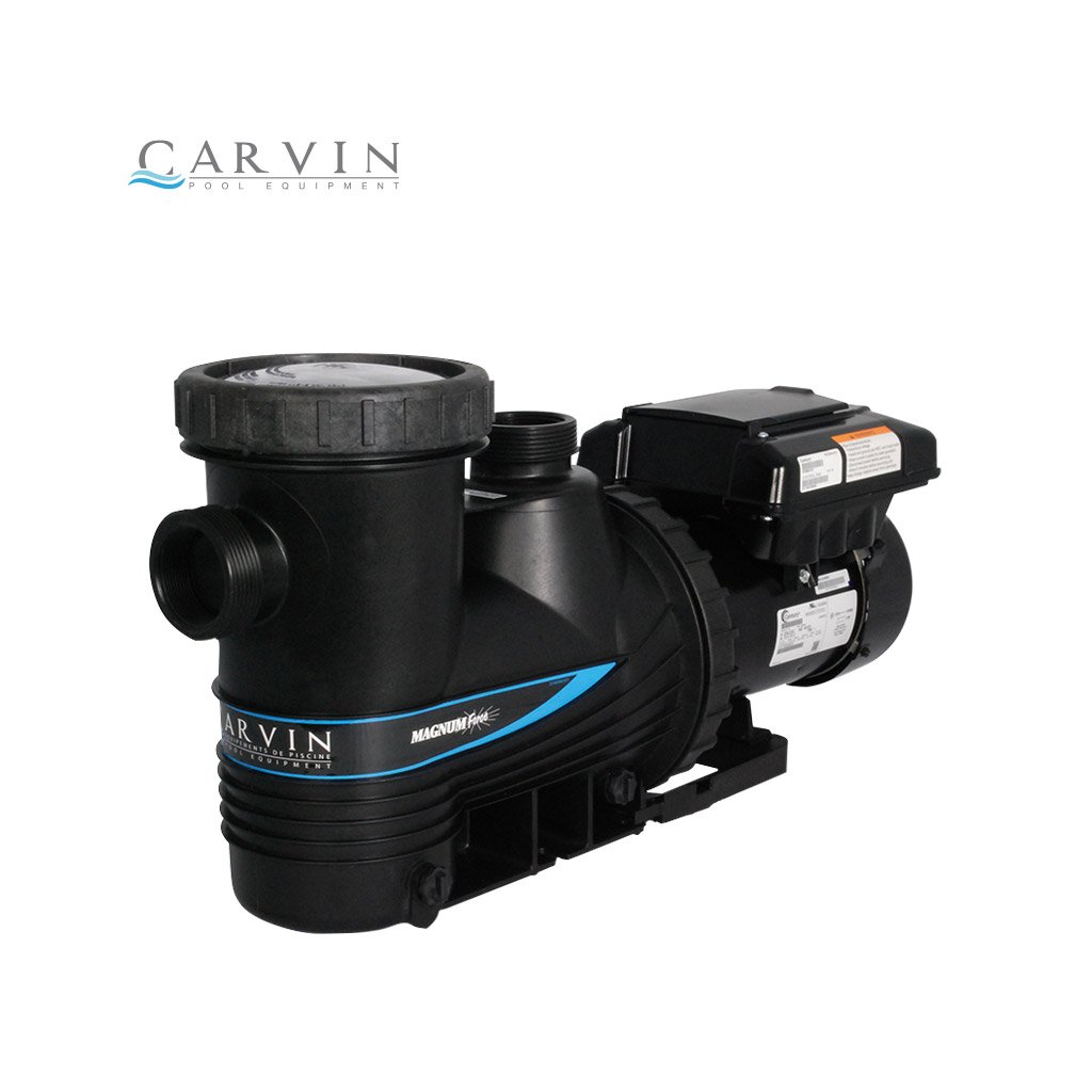 Motobomba Magnum Force 3 Carvin 3 HP 3UMF3-T para alberca