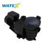 Motobomba Golden 1 1/2 HP 15GD para alberca