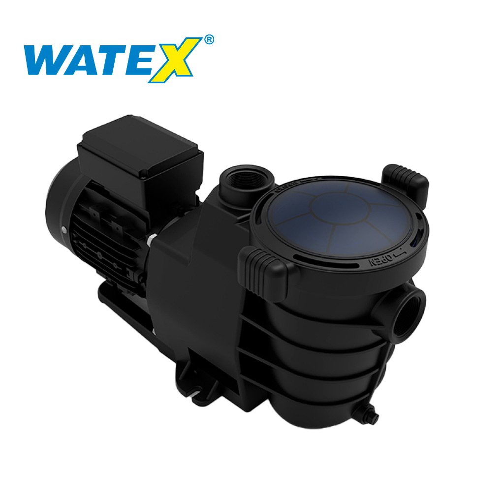 Motobomba Golden 1 1/2 HP 15GD para alberca